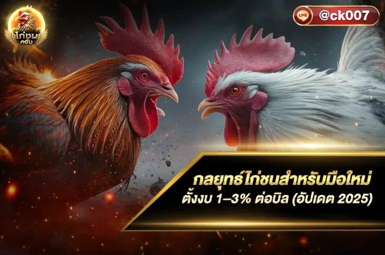 กลยุทธ์ไก่ชนสำหรับมือใหม่
