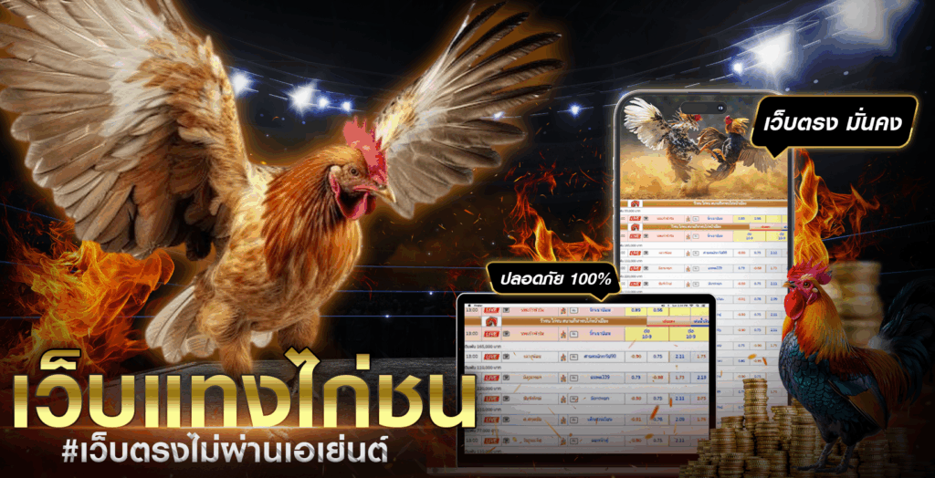 แทงไก่ชน