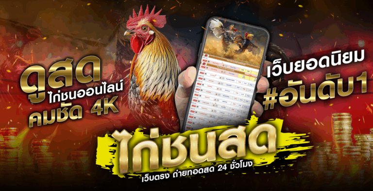 ไก่ชนสด
