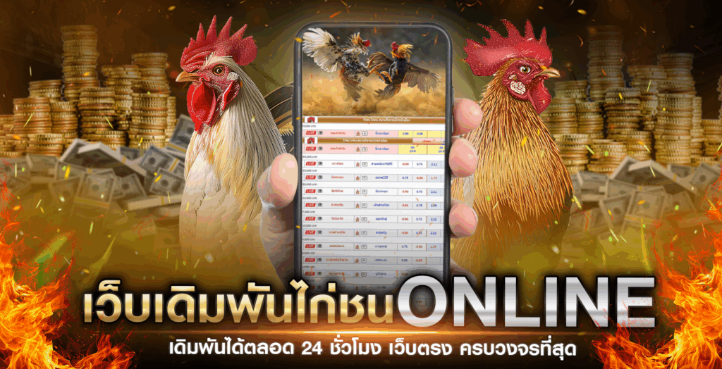 ไก่ชนเงินล้าน ที่สุดของการเดิมพันพื้นบ้าน สู่แพลตฟอร์มออนไลน์ครบวงจร – H1 ไก่ชนเงินล้าน ที่สุดของการเดิมพันพื้นบ้าน