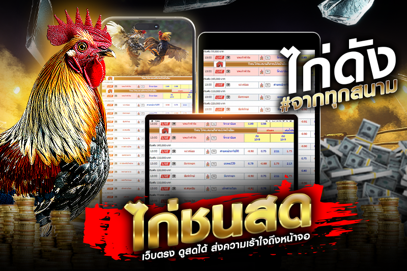 ความสนุกและเสน่ห์ของการลุ้นไก่ชน