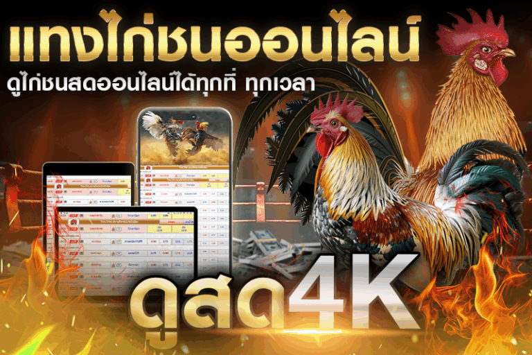 ทำไมต้องดูไก่ชนสดออนไลน์