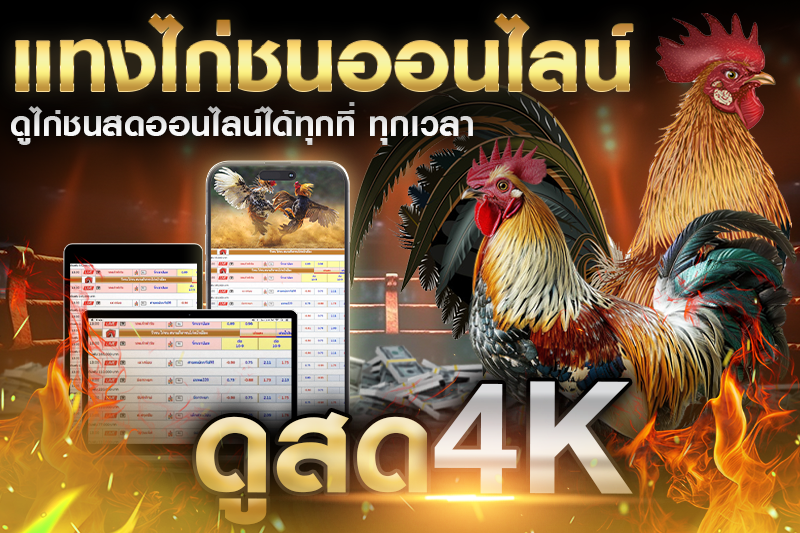 ทำไมต้องดูไก่ชนสดออนไลน์