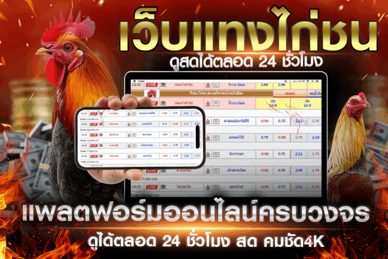 ไก่ชนเงินล้าน ที่สุดของการเดิมพันพื้นบ้าน สู่แพลตฟอร์มออนไลน์ครบวงจร – H2 ทำไมต้องเลือกแพลตฟอร์มออนไลน์ครบวงจร