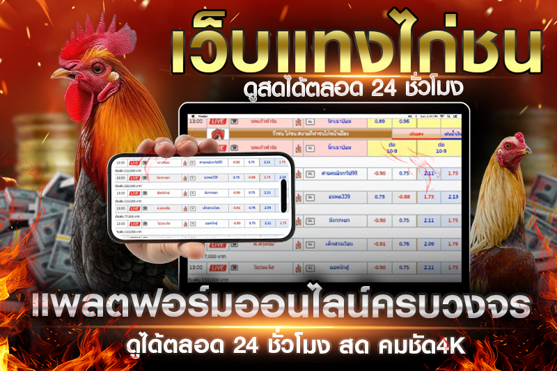ไก่ชนเงินล้าน ที่สุดของการเดิมพันพื้นบ้าน สู่แพลตฟอร์มออนไลน์ครบวงจร – H2 ทำไมต้องเลือกแพลตฟอร์มออนไลน์ครบวงจร