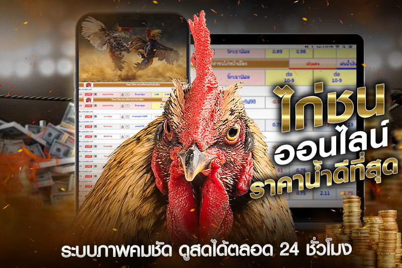 แทงไก่ชน กับเว็บตรงไม่ผ่านเอเย่นต์ ราคาน้ำดีที่สุด เล่นง่าย ปลอดภัย – H2 ทำไมราคาน้ำดี