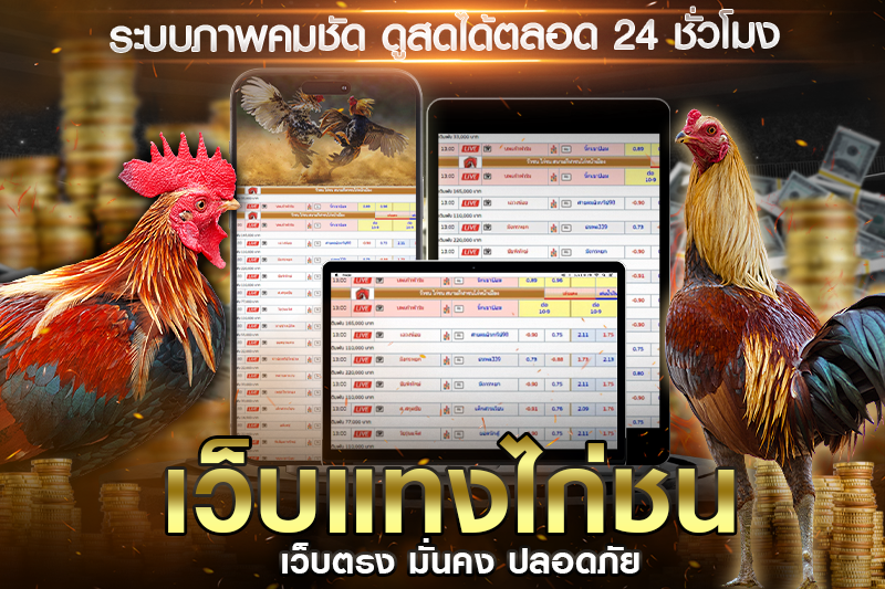 วิธีเริ่มต้นแทงไก่ชนกับเว็บตรง