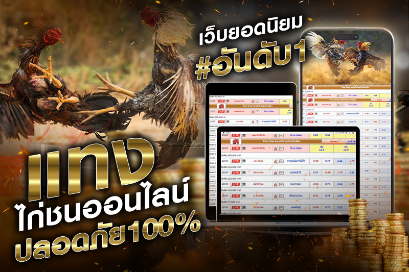 ไก่ชนออนไลน์ บนเว็บมาตรฐาน มีใบรับรองถูกต้อง บริการครบวงจร – H2 วิธีเลือกเว็บไก่ชนออนไลน์