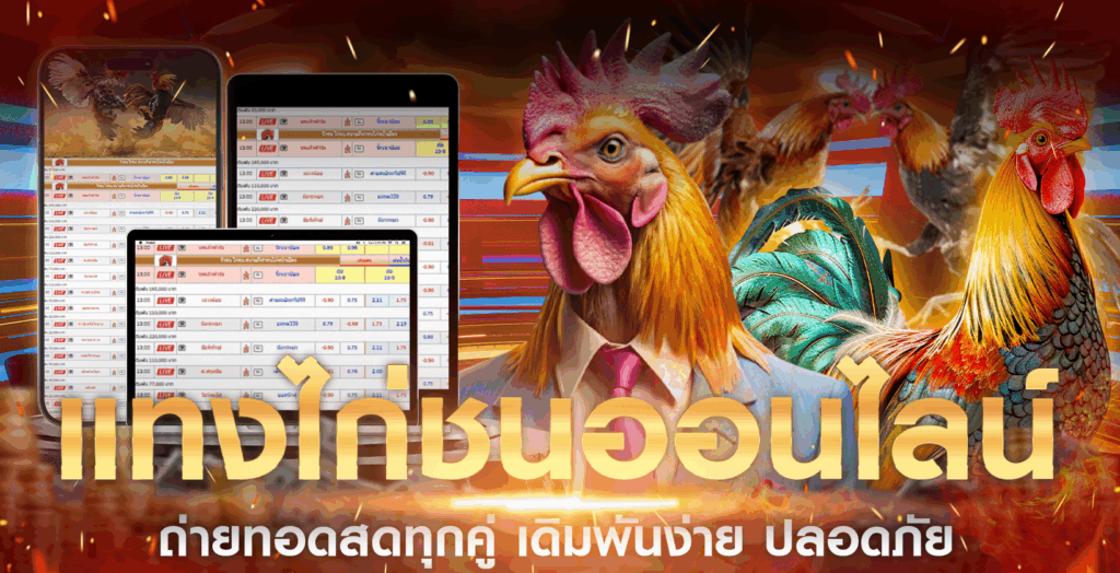 แทงไก่ชน-ออนไลน์-2025-ถ่ายทอดสดทุกคู่