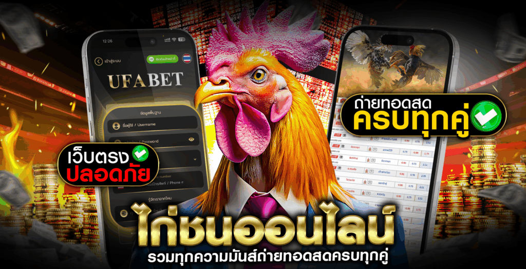 ไก่ชนออนไลน์-รวมทุกความมันส์ถ่ายทอดสดครบทุกคู่