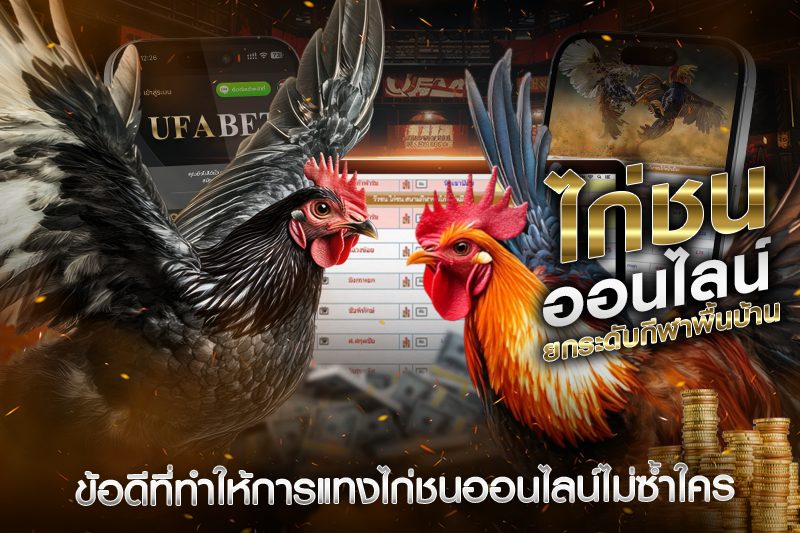 ข้อดีที่ทำให้การแทงไก่ชนออนไลน์ไม่ซ้ำใคร