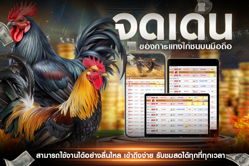 จุดเด่นที่ทำให้มือถือคือคำตอบสำหรับการแทงไก่ชนเงินล้าน
