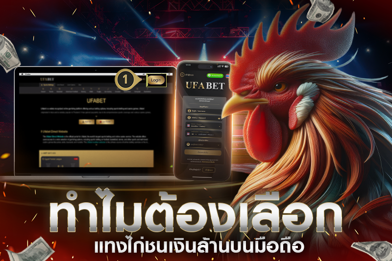 ทำไมต้องเลือกแทงไก่ชนเงินล้านบนมือถือ