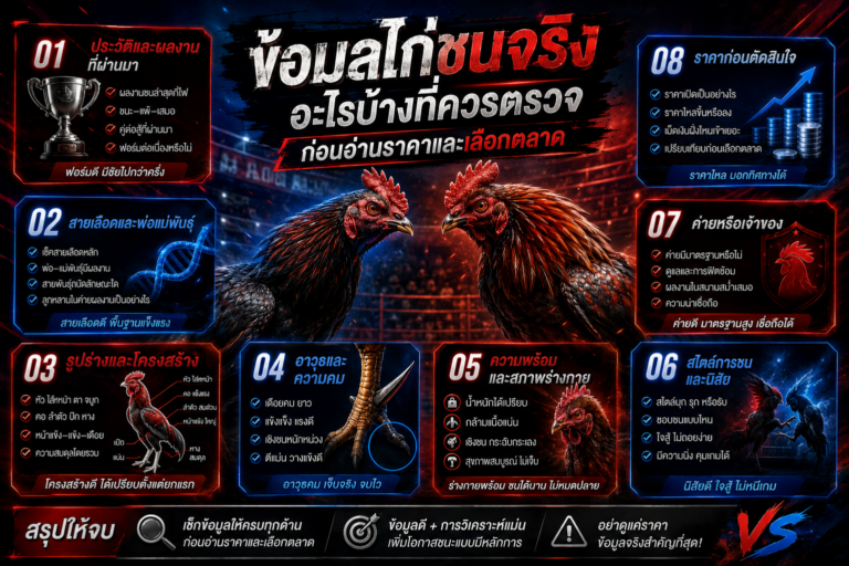 โปรแกรมไก่ชน