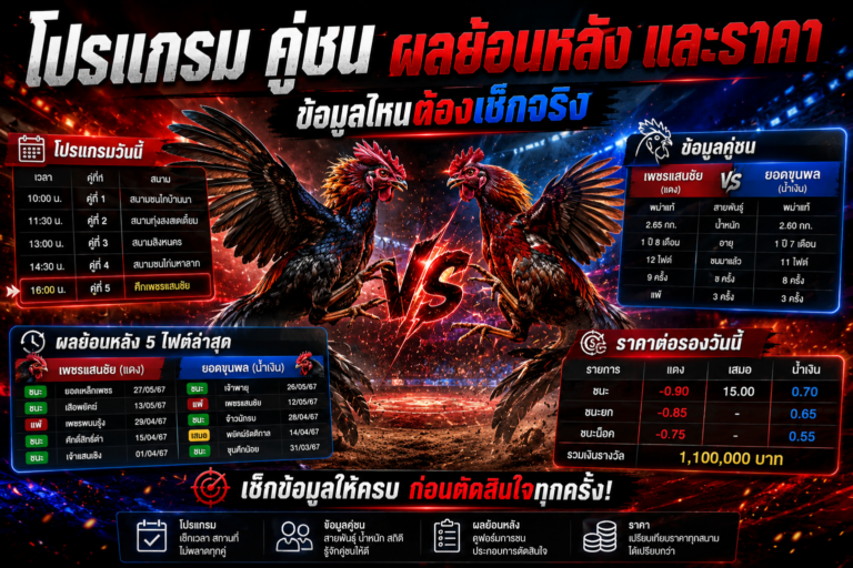 โปรแกรมไก่ชน