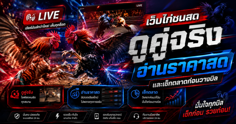 เว็บไก่ชนสด