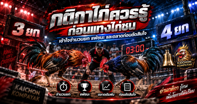 กติกาไก่ควรรู้ก่อนแทงไก่ชน