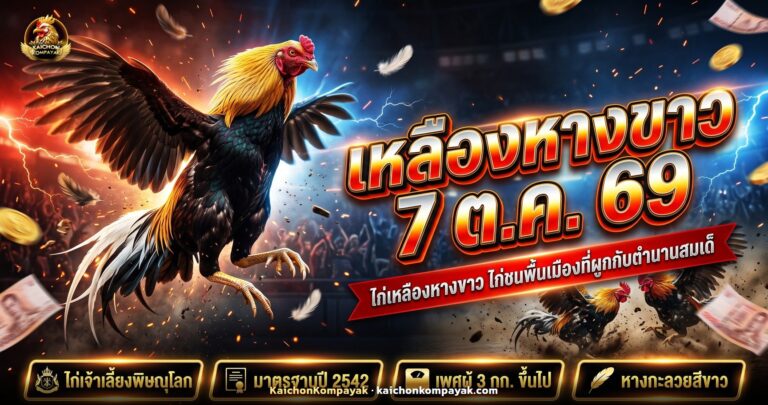 ไก่เหลืองหางขาวเพศผู้ สร้อยคอสีเหลือง หางกะลวยสีขาว ยืนเชิดอก