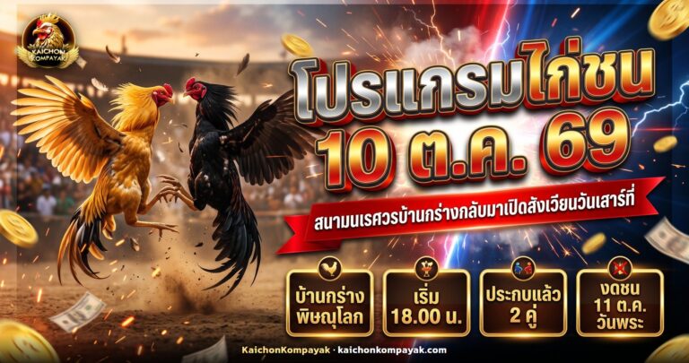 ไก่ชนสองตัวยืนเผชิญหน้ากันในสังเวียนยามเย็น ประกอบโปรแกรมไก่ชน 10 ตุลาคม 2569